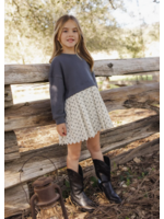 Rylee + Cru Rylee + Cru, Sweatshirt Dress || Vintage Fleur