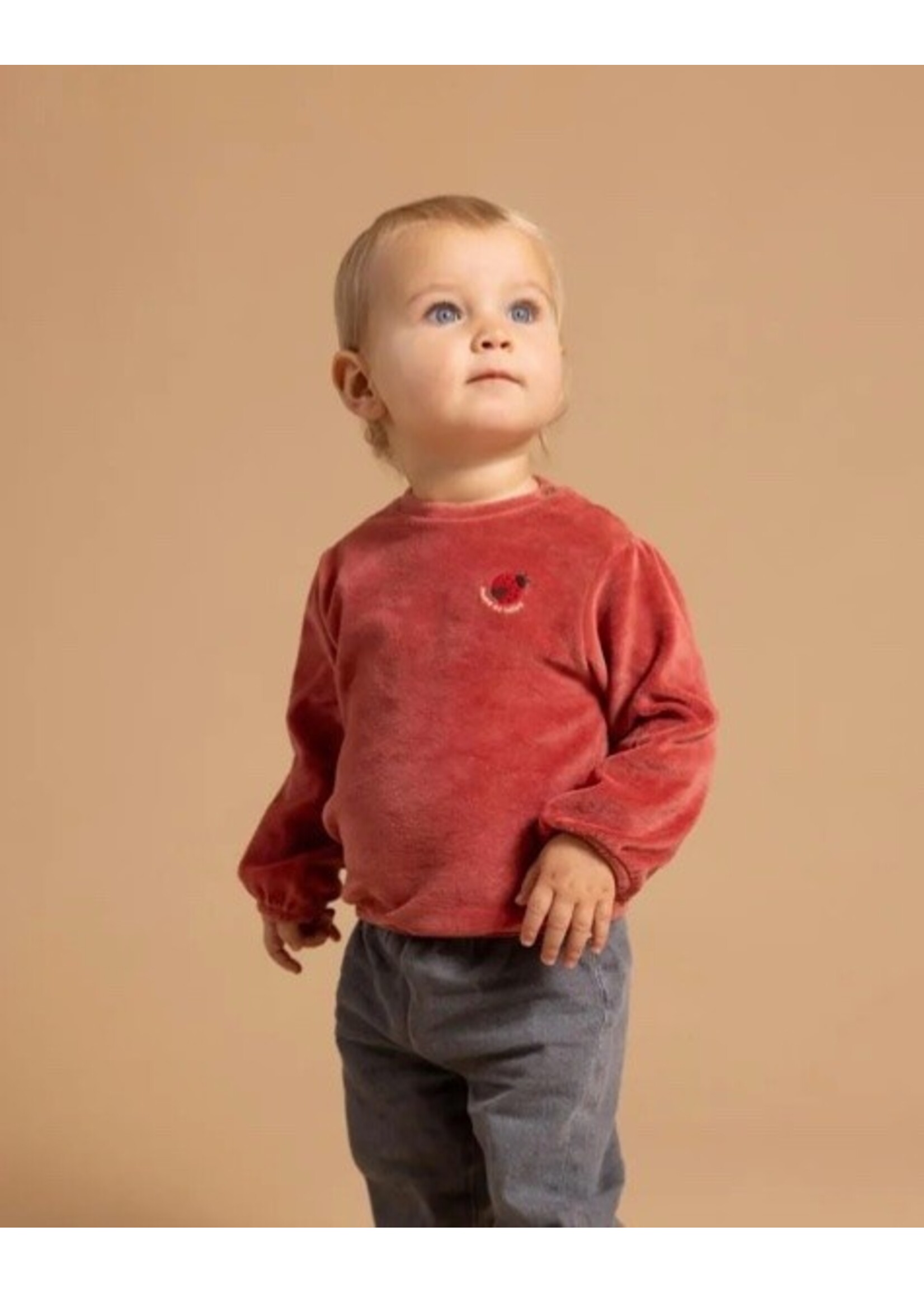 Noppies Kids Noppies Kids, Baby Sweater || Dusty Cedar