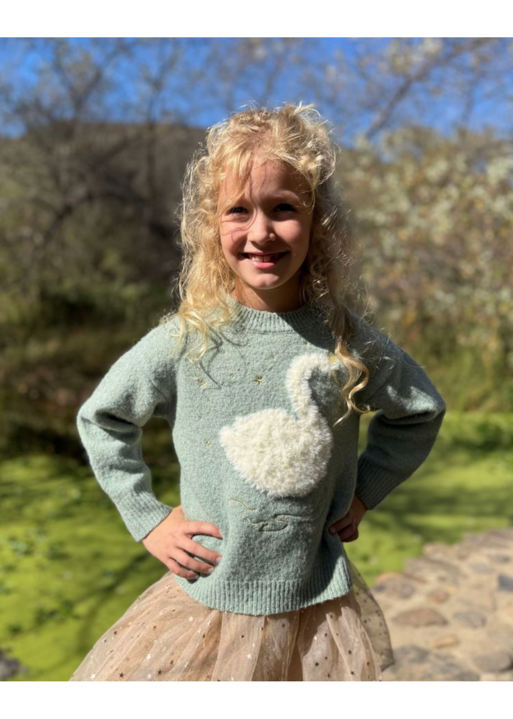 Vignette Vignette, Nova Swan Graphic Sweater || Light Green