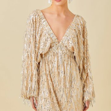Sparkle Sequin Fringe Dress