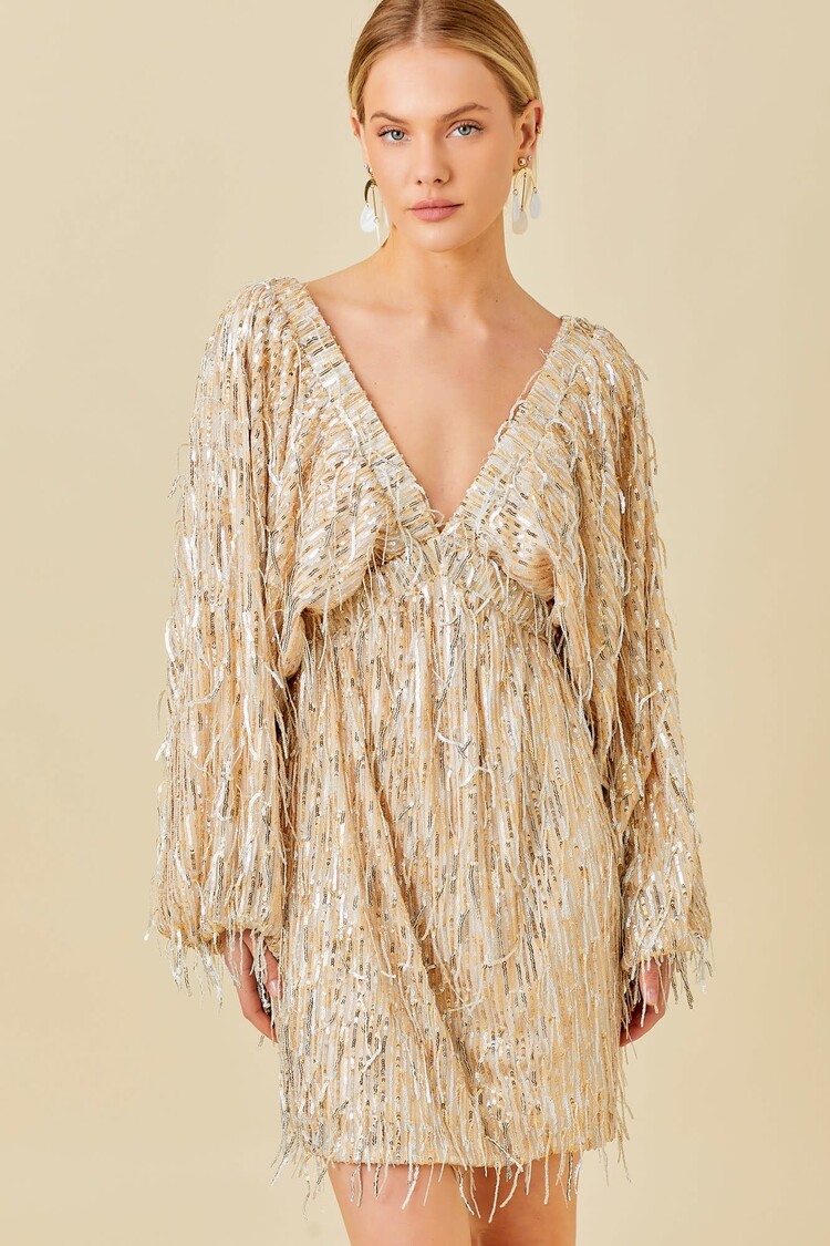 Sparkle Sequin Fringe Dress