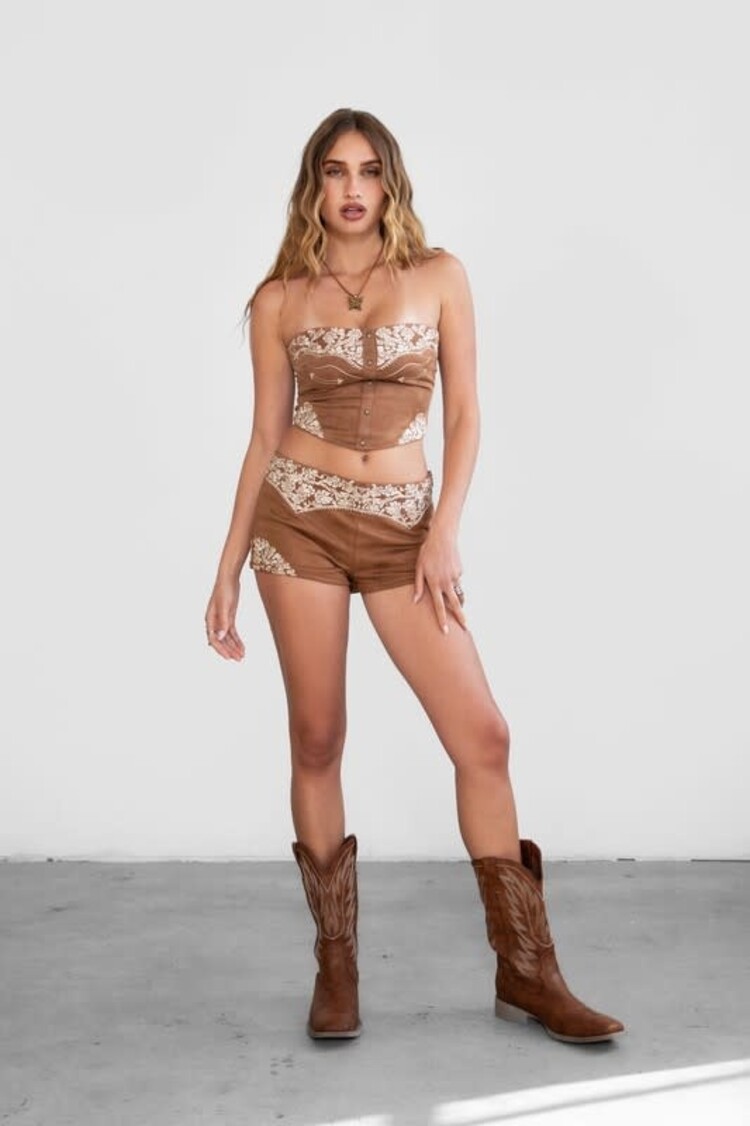 Embroidered Suede Shorts