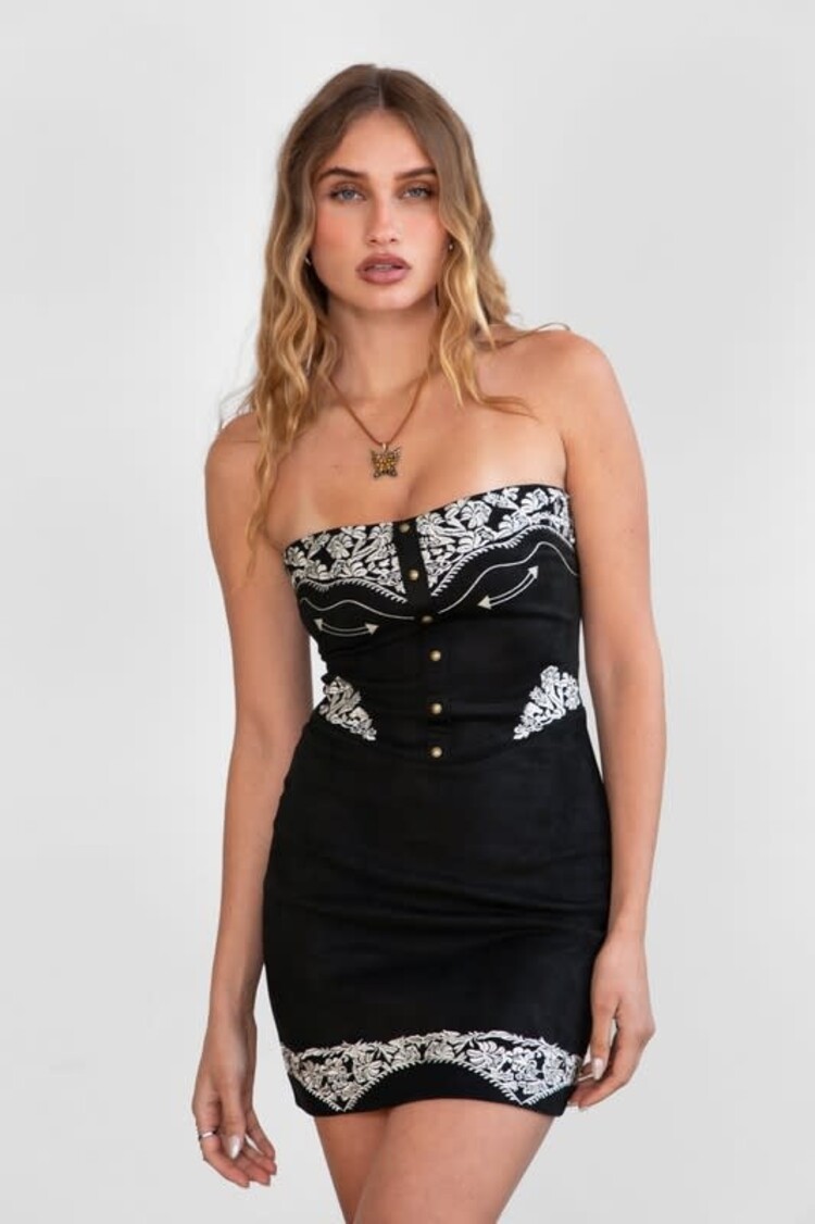 Embroidered Suede Mini Dress