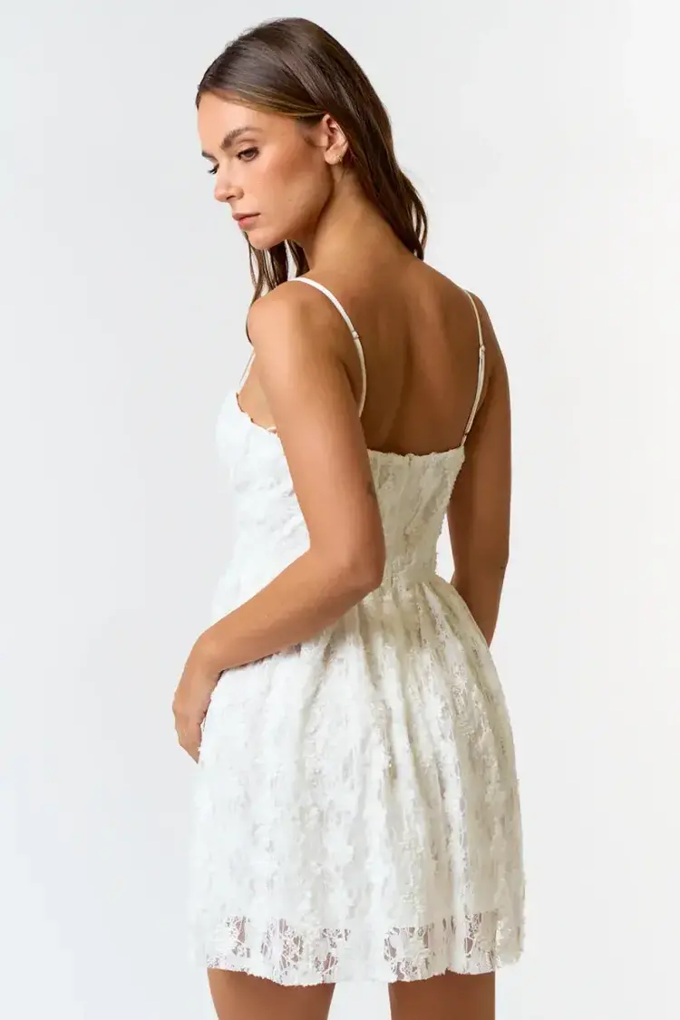 Lace Bustier Strappy Mini Dress