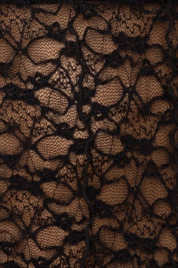 Sheer Lace Top