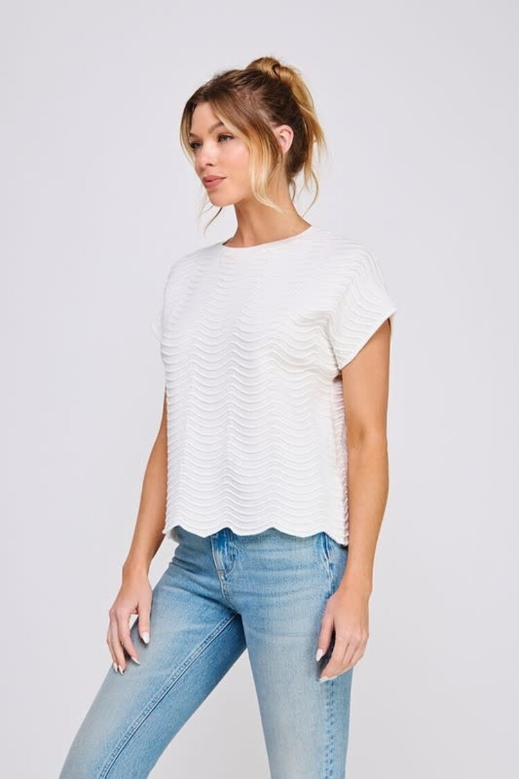 Scallop Pattern Knit Top