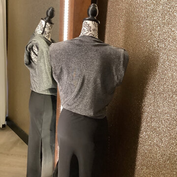 Short Sleeve Metallic Top