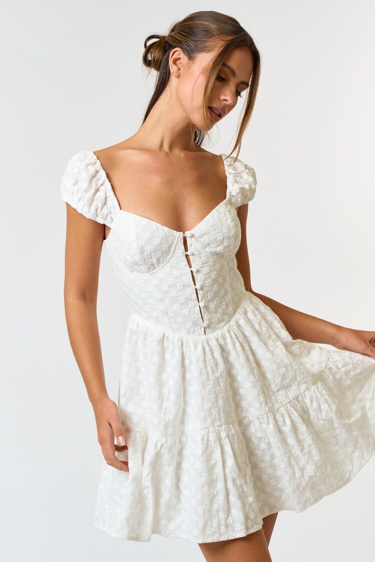 Eyelet Puff Sleeve Baby Doll Dress