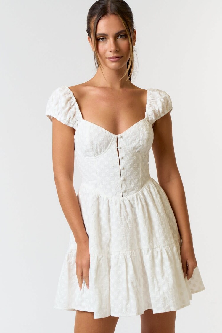 Eyelet Puff Sleeve Baby Doll Dress