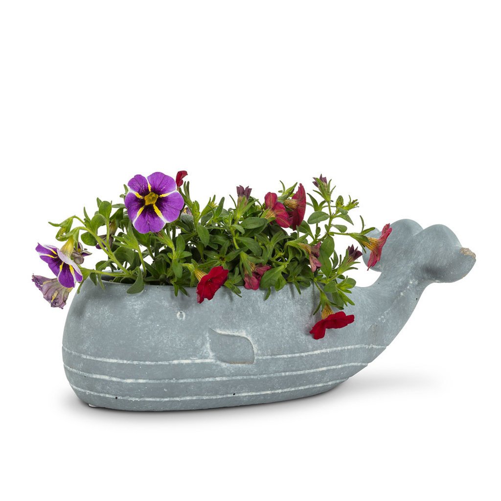 Small Whale Low Planter