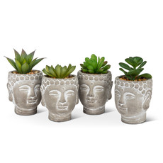 Succulents in Buddha Head Pot.