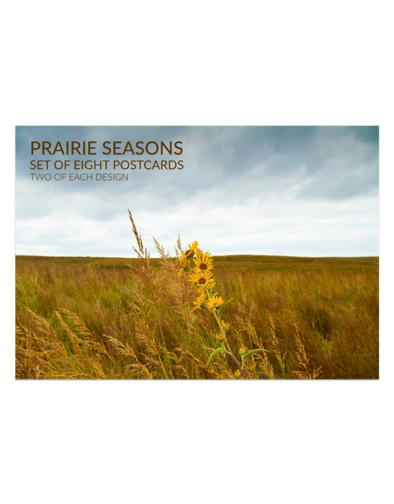 Set of 8 Prairie Seasons Postcards