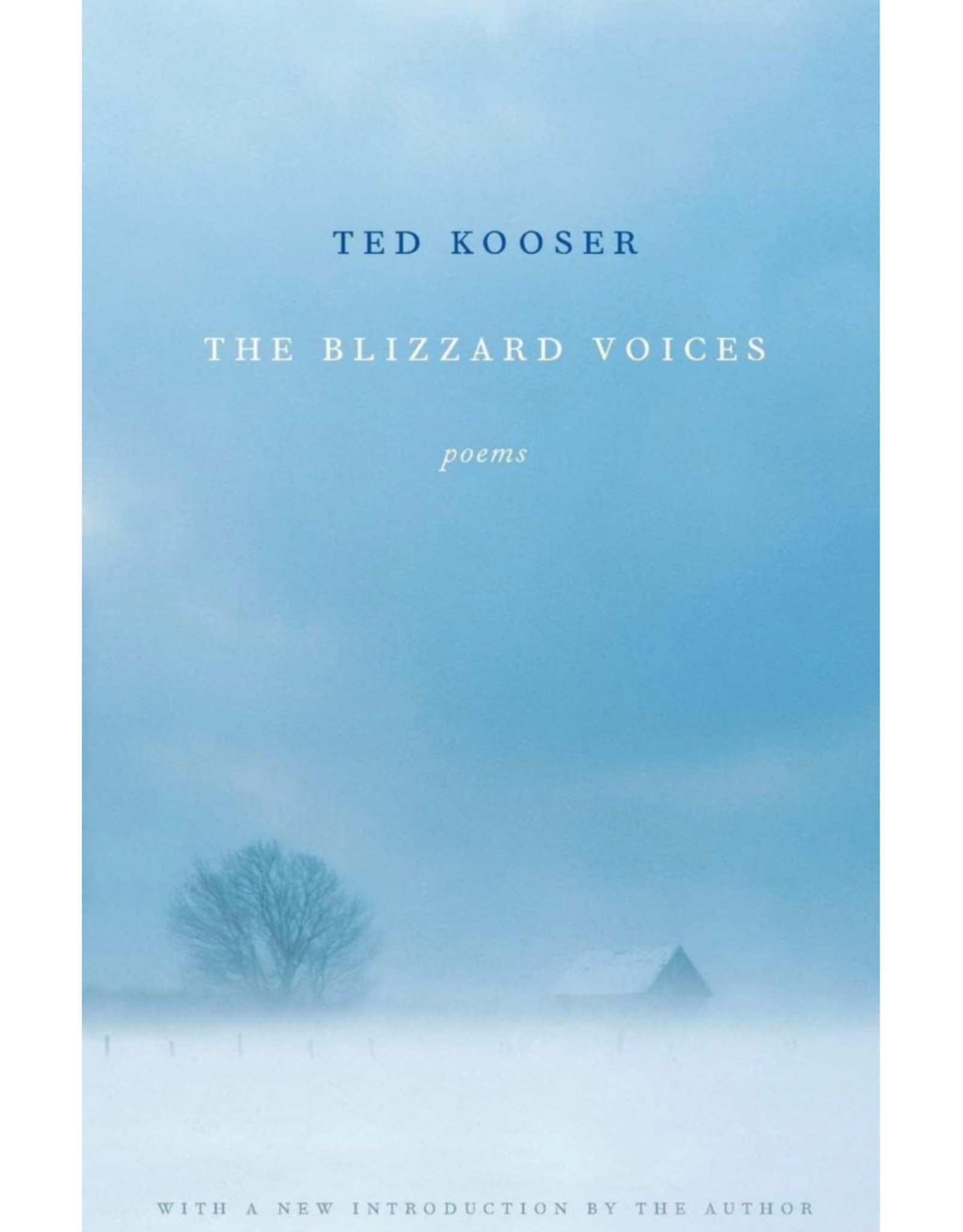 The Blizzard Voices