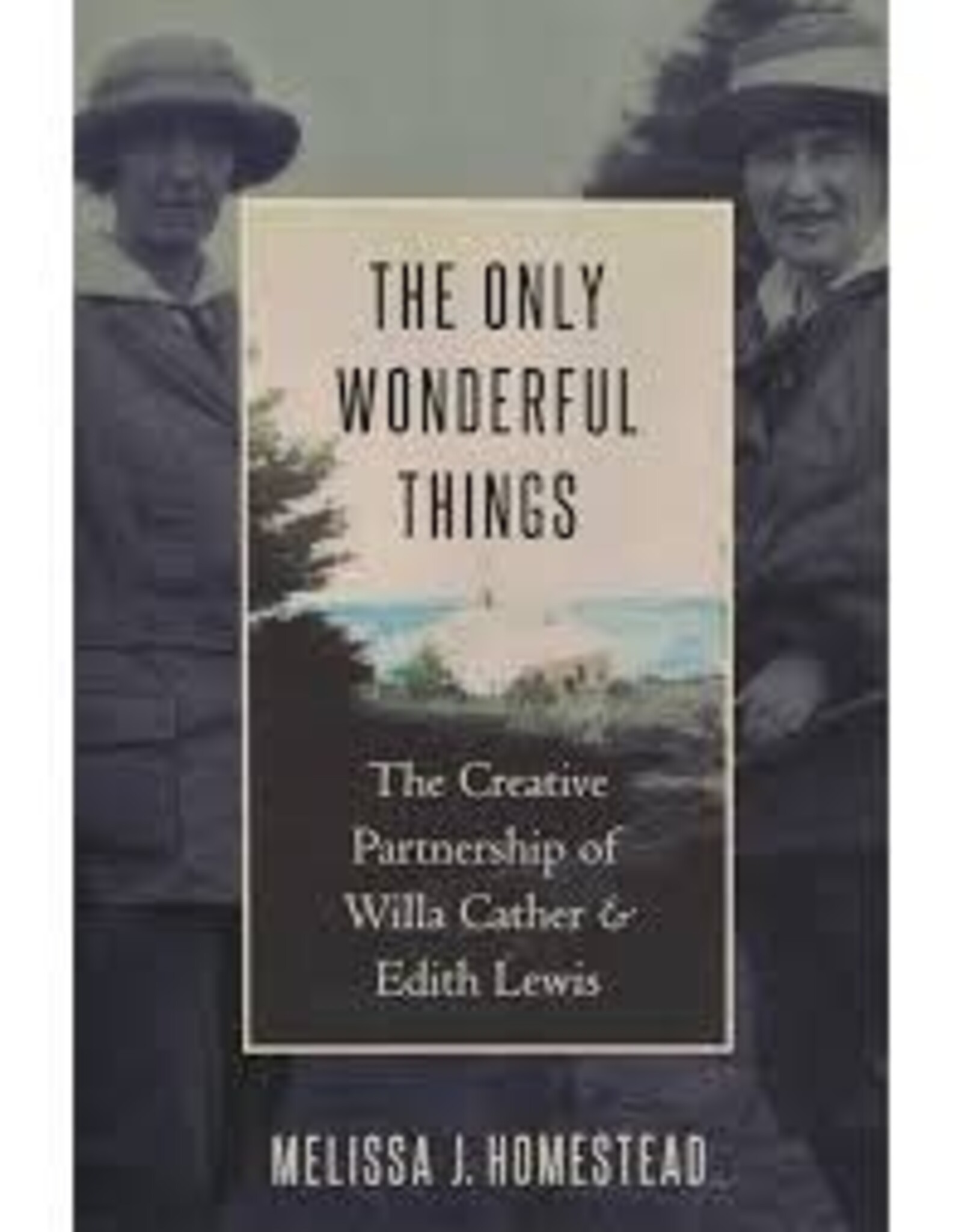 The Only Wonderful Things