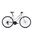 FUJI ABSOLUTE 2.1 ST