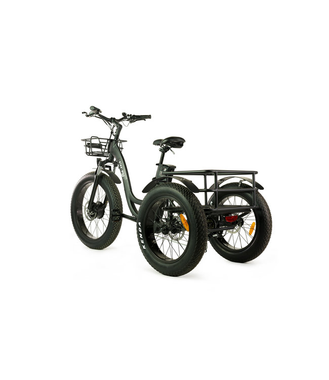 ECOLO-WATT TRICYCLE ÉLECTRIQUE  NOIR