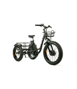 ECOLO-WATT TRICYCLE ÉLECTRIQUE  NOIR