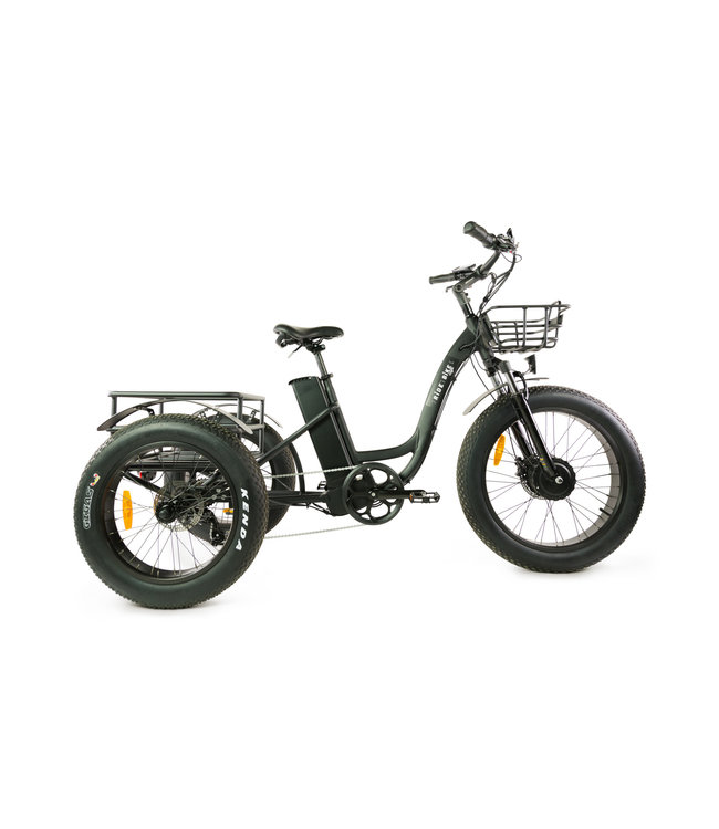 ECOLO-WATT TRICYCLE ÉLECTRIQUE  NOIR