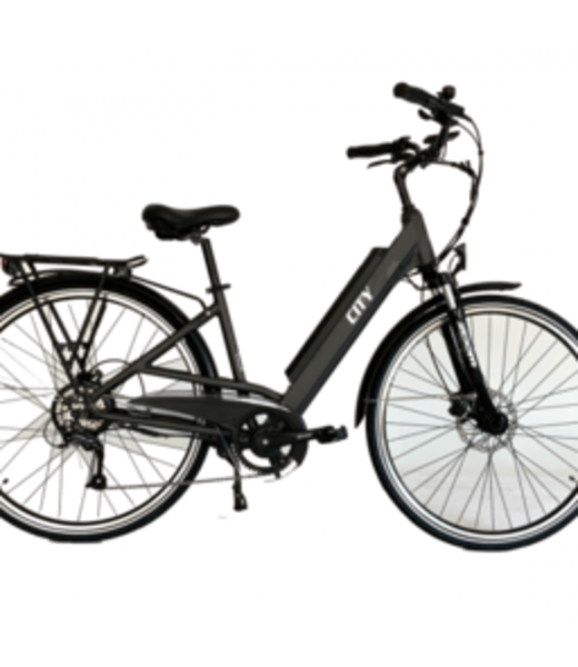 ECOLO-WATT CITY 36 VOLTS