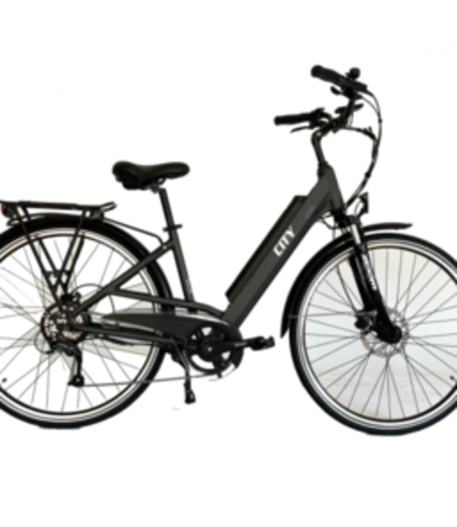 ECOLO-WATT CITY 36 VOLTS