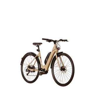 E-BIKE 5000 MEDIUM