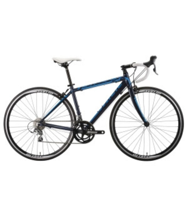 MIELE  SVELTO GRR BLEU