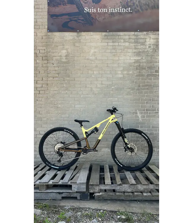 INSTINCT A50  SMALL BN/YW 29''