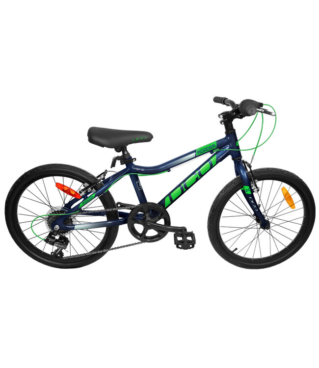 ROADER  20`` Bleu/Vert