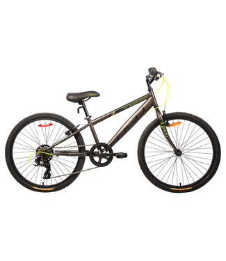 SATELLITE SPORT 24''  CHARCOAL8/LIME