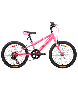 SPIRIT 20'' ROSE BONBON