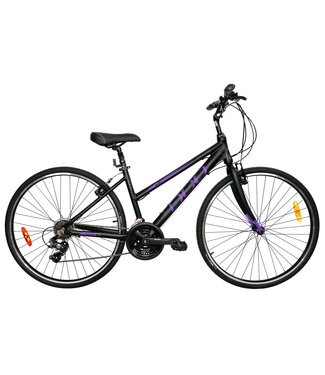 ELEGANCE 701 14'' NOIR/MAUVE