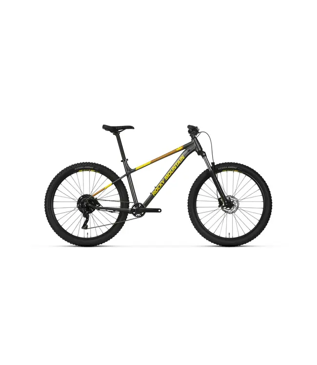Rocky Mountain SOUL 10