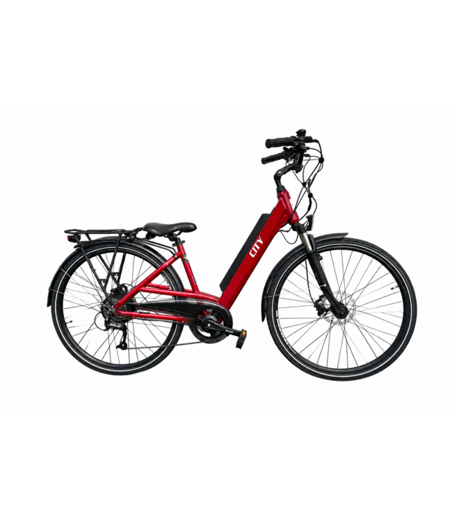 ECOLO-WATT CITY 36 VOLTS BEQUILLE CENTRALE