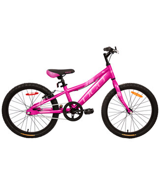 GALAXY AL  20'' ROSE