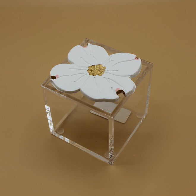 Square Acrylic Box - Dogwood