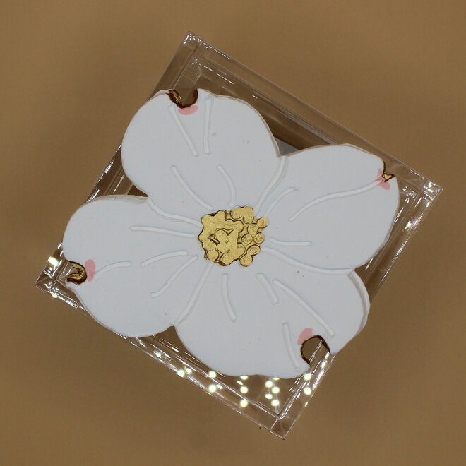 Square Acrylic Box - Dogwood