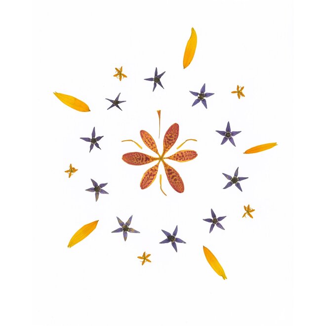 Flowered Press- SPANGLE 12X15