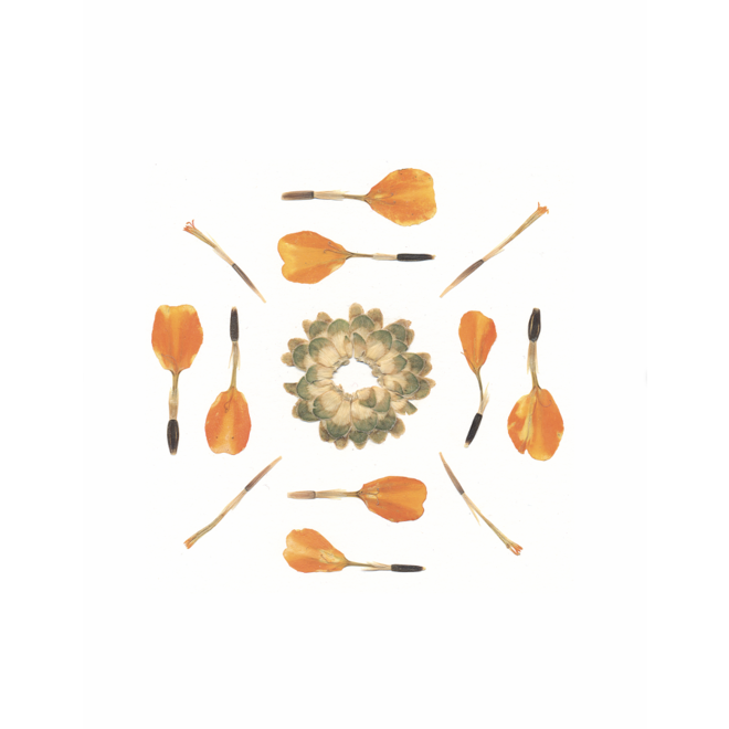 Flowered Press-KENU 11X9 ORIGINAL