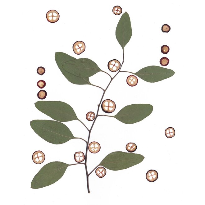 Flowered Press- PEARLING 12X15