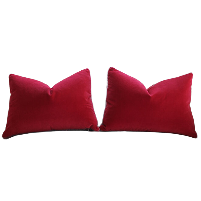 Piper Collection - Pair of Eloise Pillows - 14x20