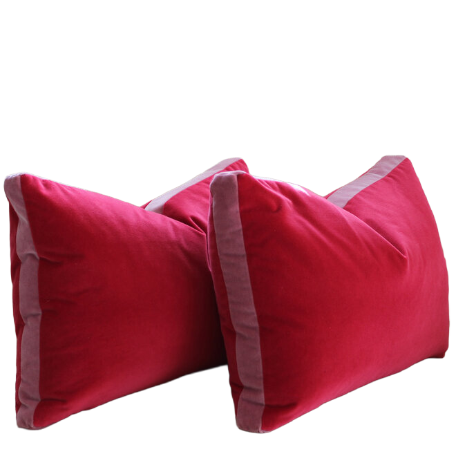 Piper Collection - Pair of Eloise Pillows - 14x20