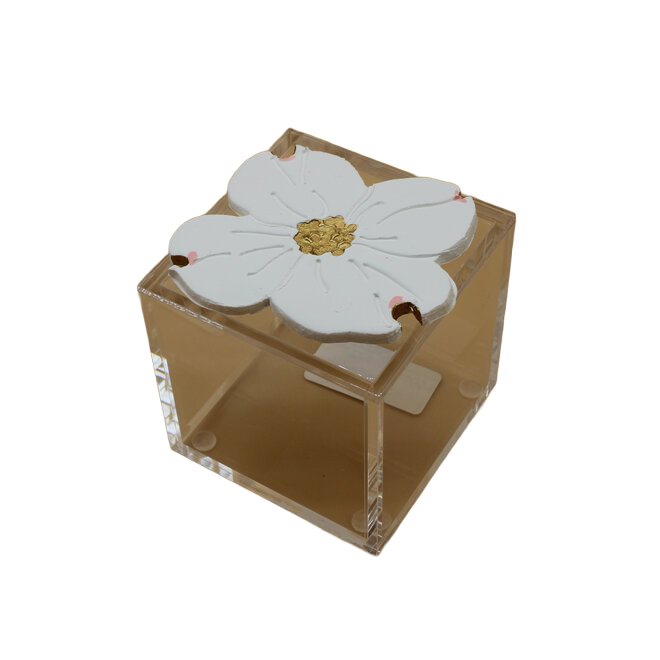 Square Acrylic Box - Dogwood
