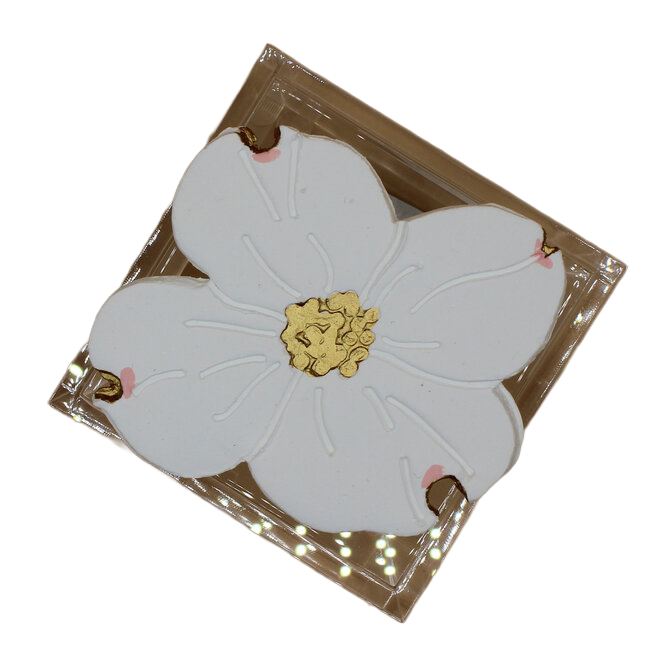 Square Acrylic Box - Dogwood