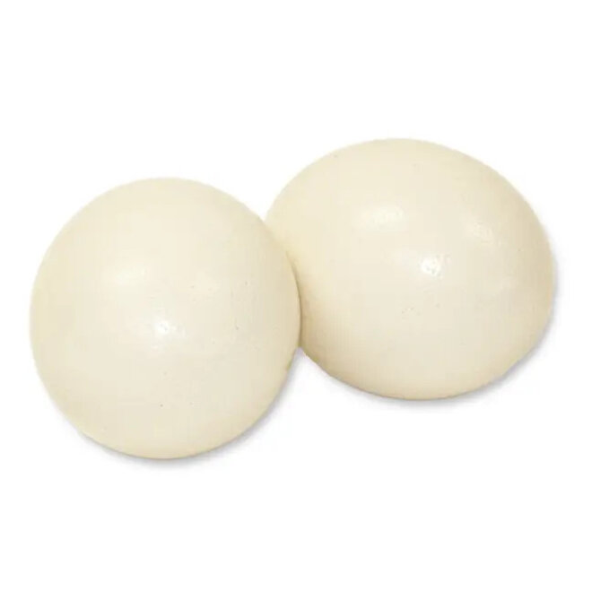 Natural Ostrich Egg