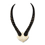 African Blesbok Horn V Skull
