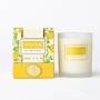 Orange Basil Soy Wax Candle - 5.6oz