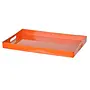 Orange Tray