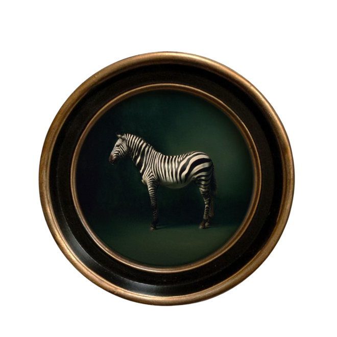 Zebra Round Portrait