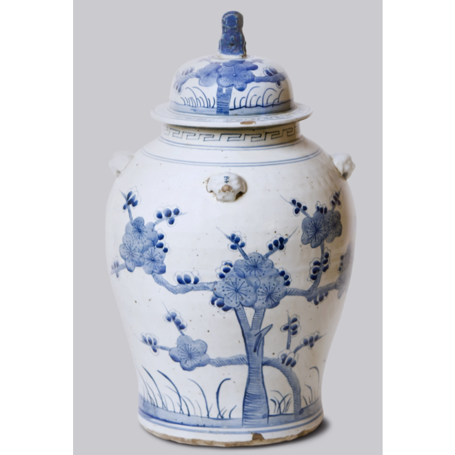Blue and White Porcelain Temple Jar