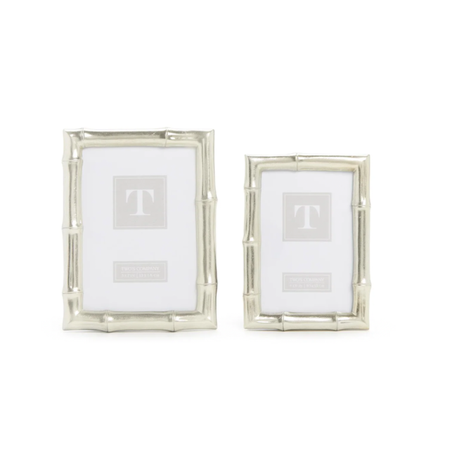 Small Silver Faux Bamboo Frame